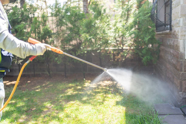 Best Affordable Pest Control Services  in Howell, MI