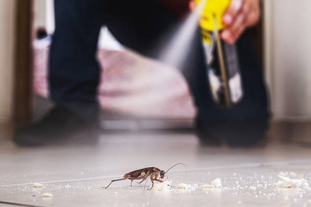 Reliable Howell, MI Pest Control Solutions