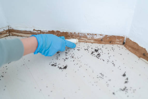 Best Affordable Pest Control Services  in Howell, MI